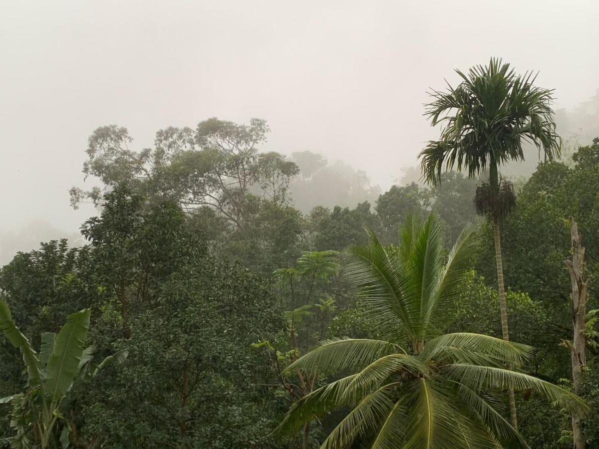 Jungle View Cottage Ella Extérieur photo