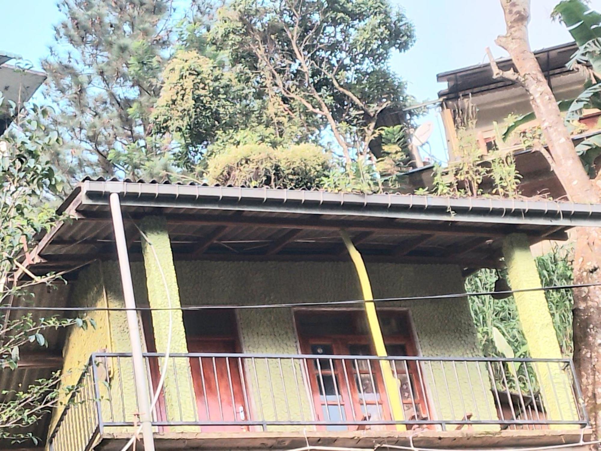 Jungle View Cottage Ella Extérieur photo